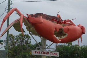 Big Crab close up
